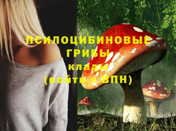 бутират Михайловка