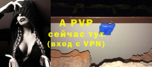 СК Михайлов