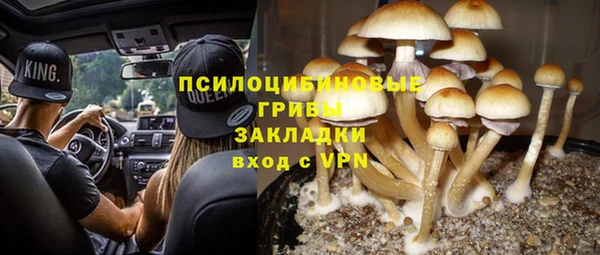 бошки Мегион